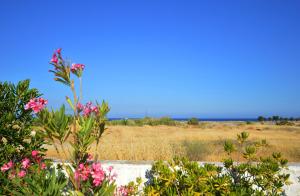 S-EVA RESORT Rhodes Greece