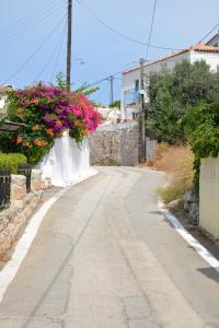 Jimi's House Agistri Greece