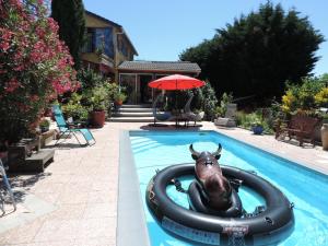 B&B / Chambres d'hotes Chez Papy et Mamy : photos des chambres