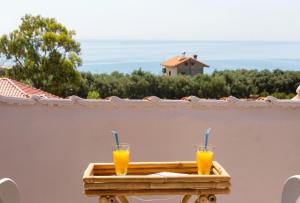 Caretta - Caretta Hotel Epirus Greece