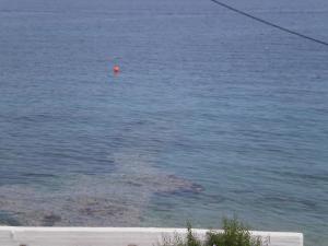 Blue Horizon Spetses Greece