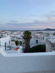 Naxian fleur luxury apartment Naxos Greece