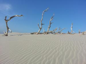 Sa Corti De Sa Perda Piscinas img43