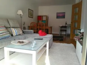 APARTAMENTO PEREGRINOS y USO TURISTICO CENTRO DE A GUARDA - Salcidos