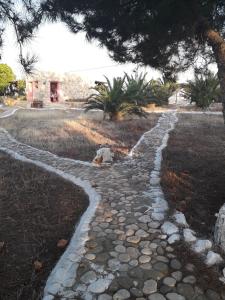 Metochi Gavdos Gavdos Greece