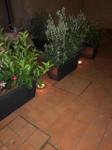 Habitación Triple Clásica
