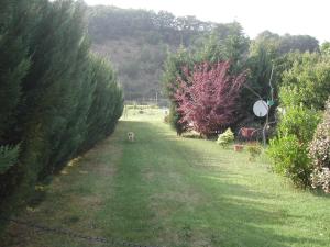 Chalets mobil home dordogne : photos des chambres