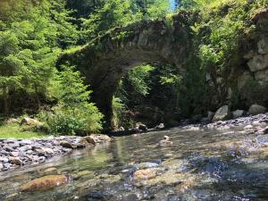 Chalets Le Moulin des Olirics : photos des chambres