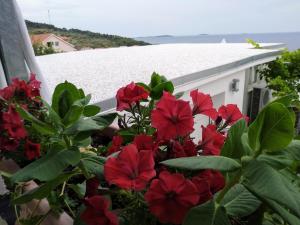 Apartments Villa Šibenik