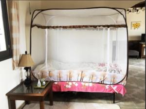 Traditional apartment with view in Douliana Vamos