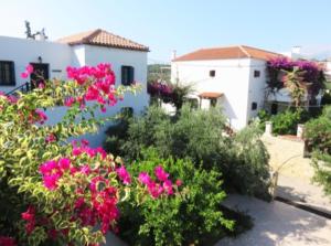 Traditional apartment with view in Douliana Vamos