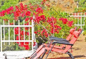 Vacation house with majestic blue sea and green mountain views Salamina Greece