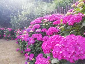 Pileas & Thetis Villa Pelion Greece