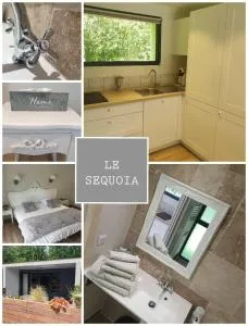 Le chêne - Le Bignon