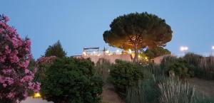 Hotels Hotel 