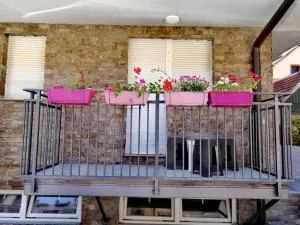 Apatman Sergej - 索科矿泉村