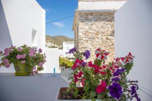 Pension Barbara Amorgos Greece