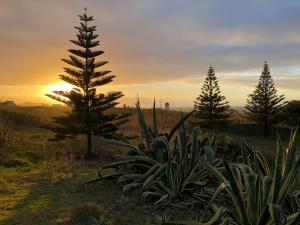Holiday Home room in Casa Estrela do Mar - Azorean Butler
