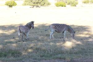 Welbedacht Game & Nature Reserve
