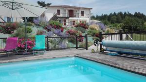Sagette photo 24