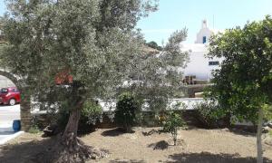 Valanies Rooms Sifnos Greece