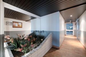 Appartements :) Grand studio lumineux a Toulouse et parking : photos des chambres