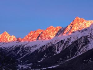 B&B / Chambres d'hotes chalet des grands bois : photos des chambres