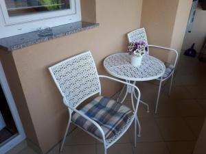 IRIS Room & Apartment