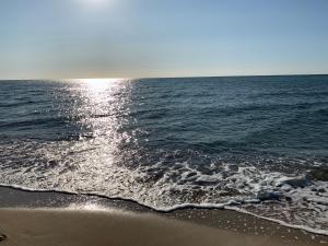 Золотой Бугаз