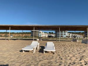 Золотой Бугаз