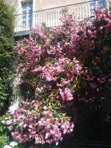 Bel Appartement Dans Cloitre Arbore