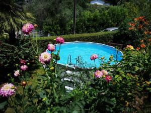 Parte di casa con giardino e piscina