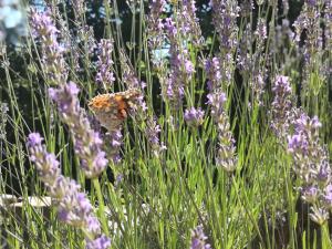 Holiday Home Inga with free private parking