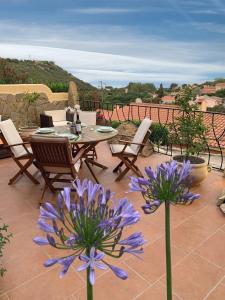 Sa Terrazza costarei img40