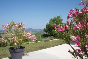 B&B / Chambres d'hotes Au Fil des Cevennes : photos des chambres