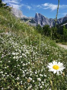 Guest house PANORAMA