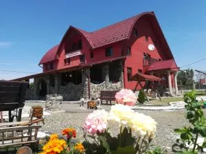 Pensiunea TAVISA - Cîmpu Negru Pensiunea TAVISA - Cîmpu Negru