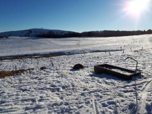 Appartements Au Chasseur : photos des chambres