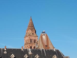 Appartements Au Chasseur : photos des chambres