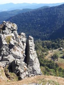 Appartements Au Chasseur : photos des chambres