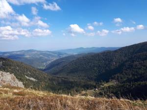 Appartements Au Chasseur : photos des chambres