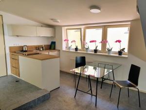 Apartmán COZY LUXURY APARTMENT IN THE CITY CENTER Plzeň Česko