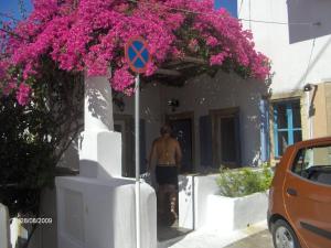 The little bougainvillea house Kythira Greece