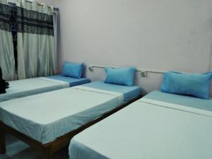 Gibbon Backpackers Hostel