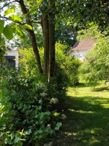 Maisons de vacances Le Clos de Marenla : photos des chambres