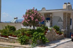 Traditional summer house in Marmari Evia Greece