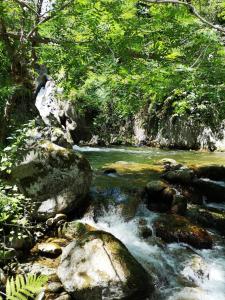 Accommodation in Corsavy