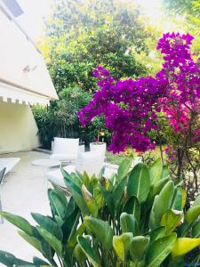 19 Rue du Parc Alexandre III