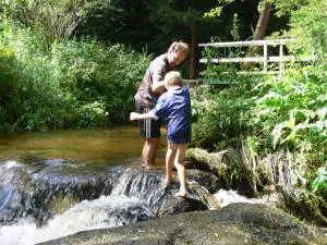 Biohof Mayerhofer - Rappottenstein