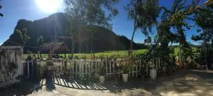 Phong Nha Rice Field Homestay - Lý Hòa